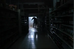 ThingWithFeathers_stills (7)