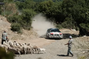 Race for glory (123)