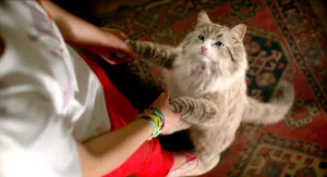 nineLives_stills (32)