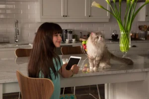 nineLives_stills (53)