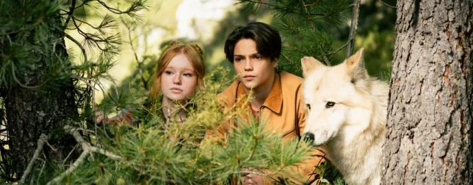 MIŠKŲ BASTŪNAI 2 – Keragas ir jo ypatingi draugai sugrįžta į kino teatrus!